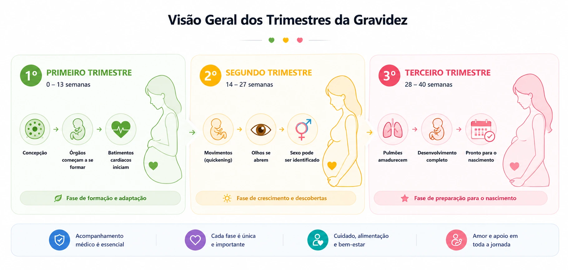 Infográfico mostrando os três trimestres da gravidez com desenvolvimento do bebê, semanas gestacionais e principais mudanças de cada fase.